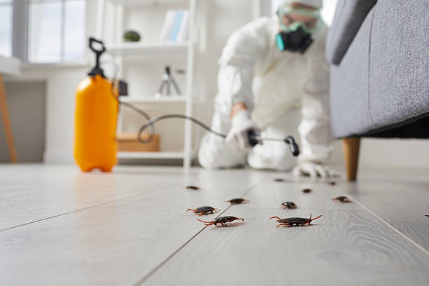 Commercial Kitchen Cockroach Control in Lake Mohawk